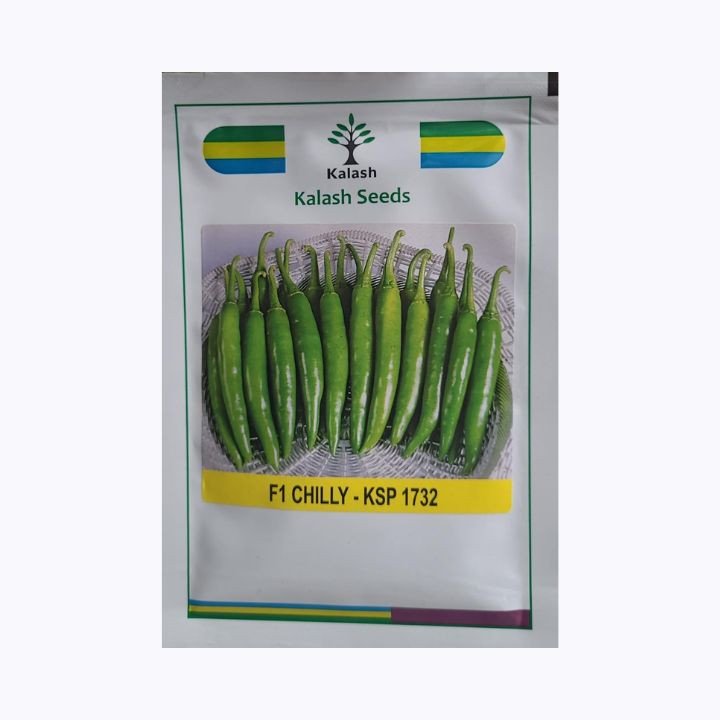 Kalash Seeds F1 Chilly – KSP 1732 Hybrid Chilli Seeds – main view