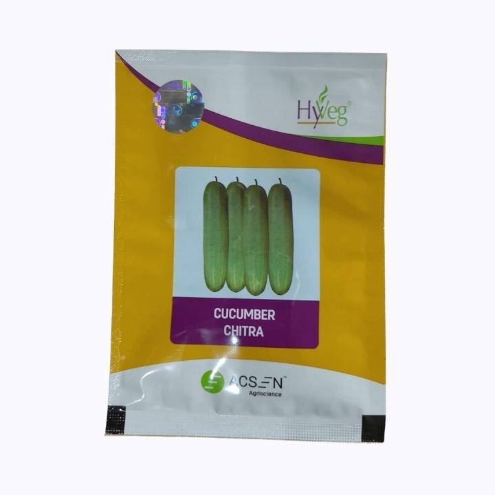 Hyveg Chitra Hybrid Cucumber Seeds