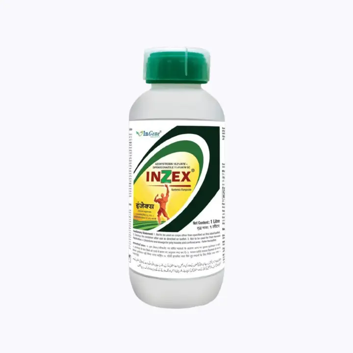 Ingene Inzex Fungicide