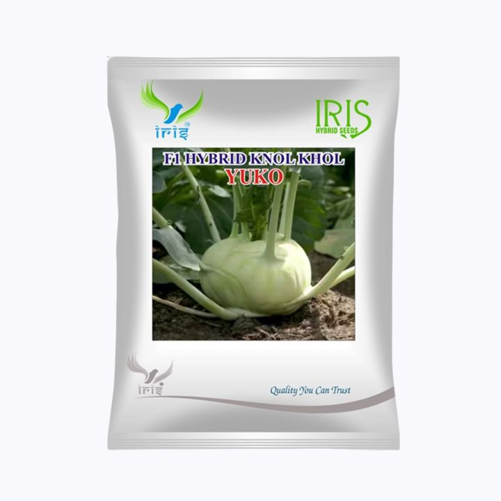 Iris F1 hybrid Yuko Knol Khol Seeds