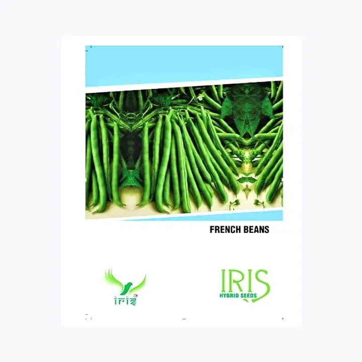Iris French Beans Seeds – main view