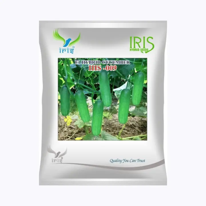 Iris Hybrid F1 Cucumber Ihs-009 Seeds
