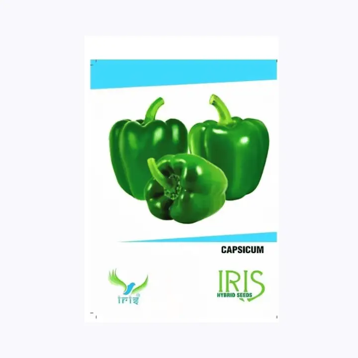 Iris Hybrid F1 Green Capsicum Seeds