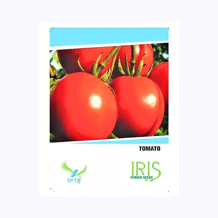 Iris Hybrid F1 Tomato Seeds