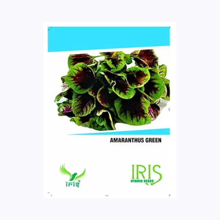 Iris Imported Amaranthus Green Seeds