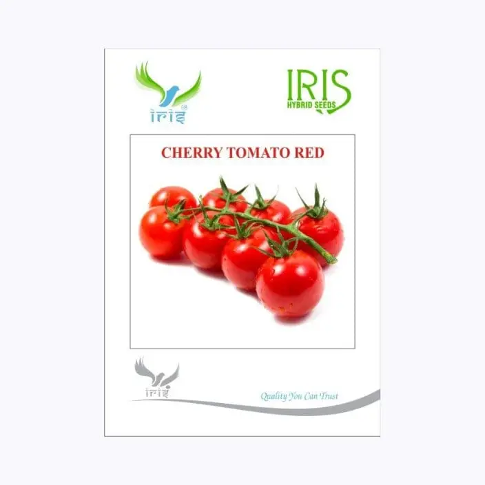 Iris Imported Cherry Tomato Red Seeds