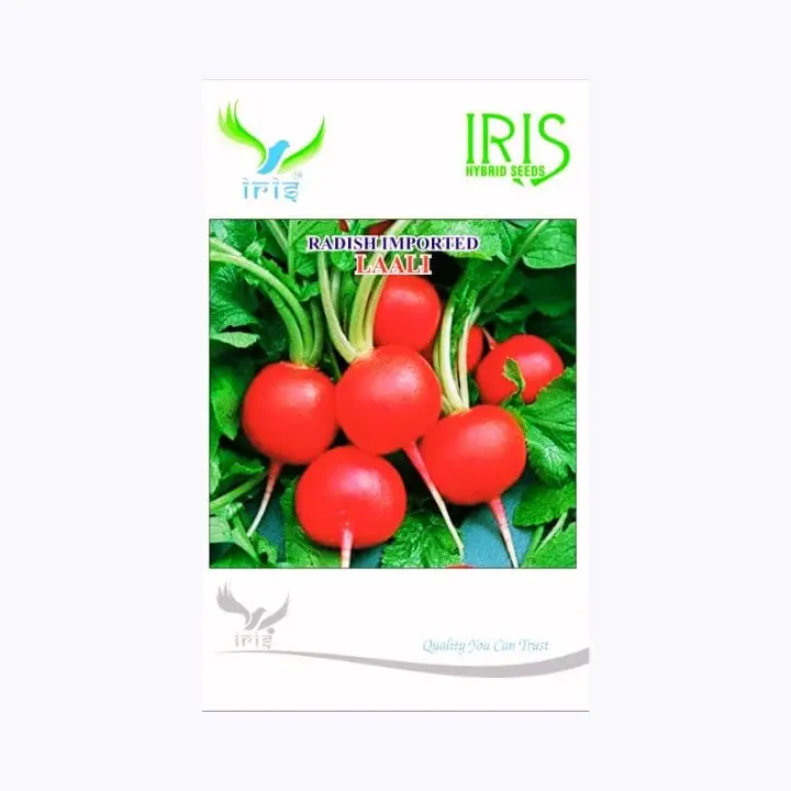 Iris Imported Laali Radish Seeds