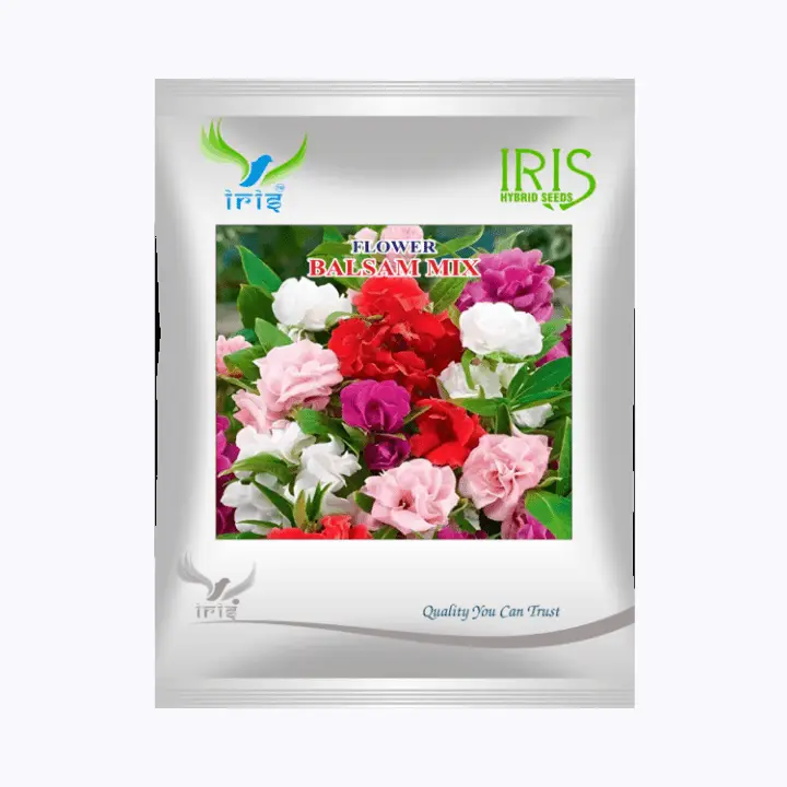 Iris Imported OP Balsam Mix Seeds