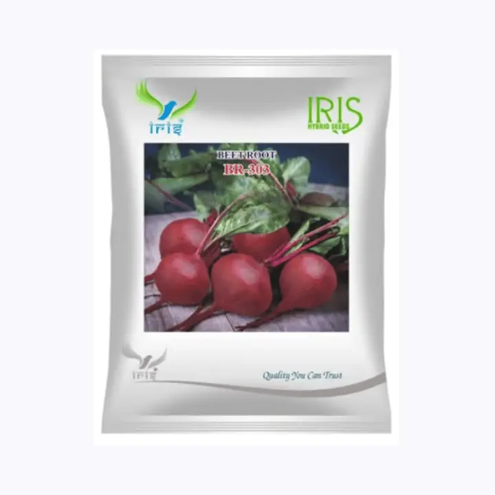 Iris Imported OP Beetroot Br-303  Seeds