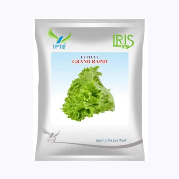 Iris Imported  Op Lettuce Grand Rapid