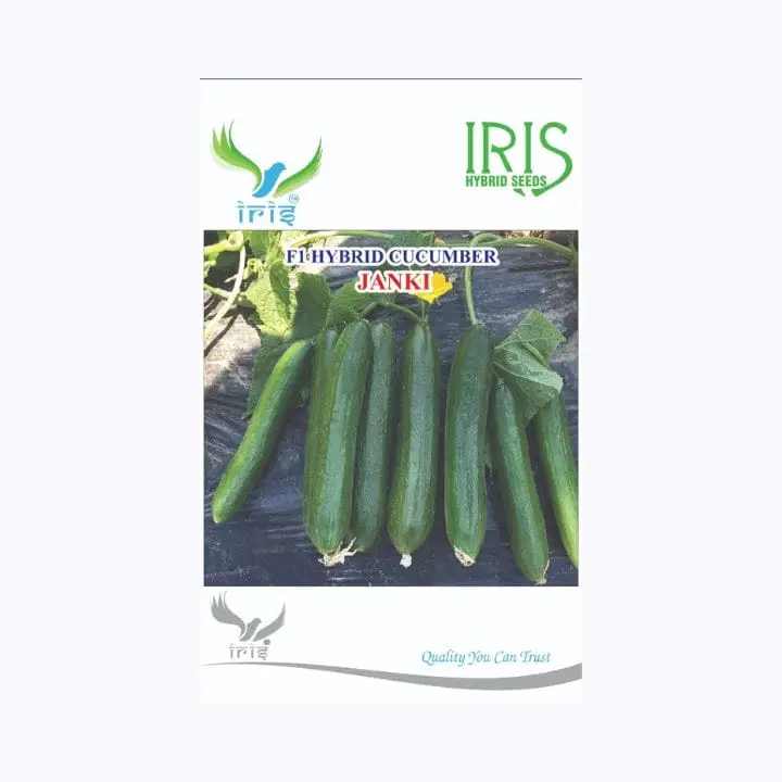 Iris Janki(Beit Aplha Type) Cucumber Seeds