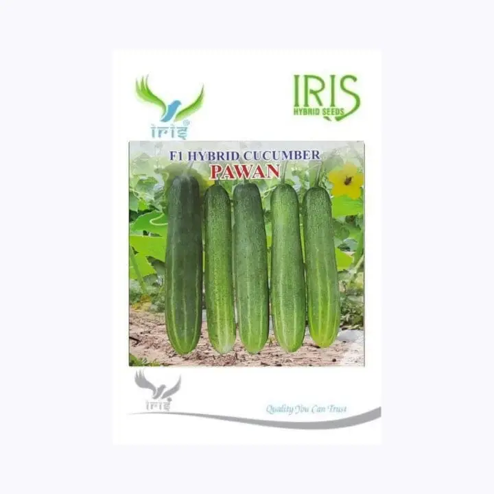Iris Pawan Cucumber Seeds