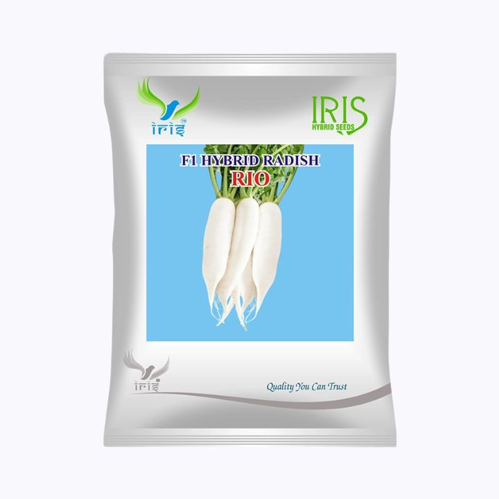 Iris Rio F1 Hybrid Radish Seeds
