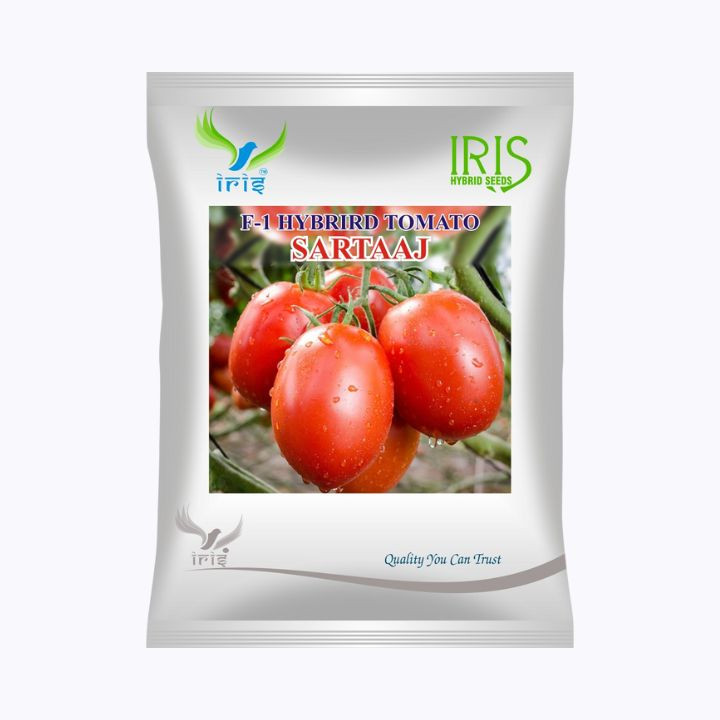 Iris Sartaaj F1 Hybrid Tomato Seeds