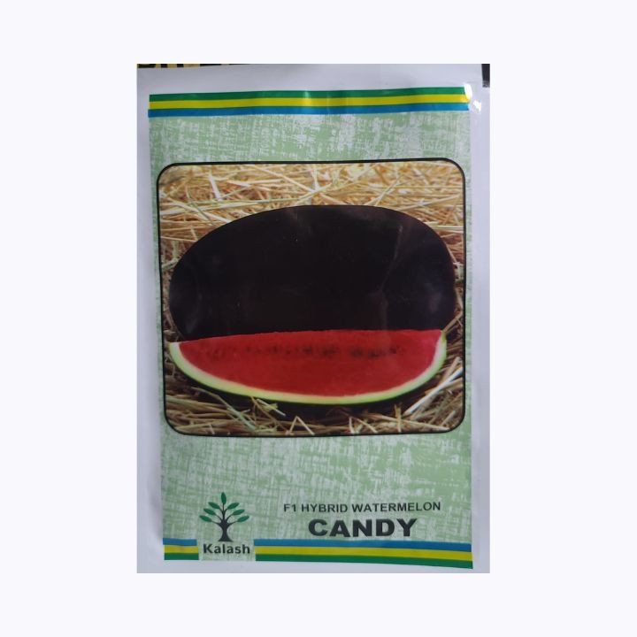 Kalash Candy F1 Hybrid Watermelon Seeds – main view