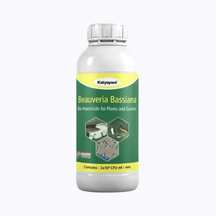 Katyayani BHASAM | Beauveria Bassiana Bio-Insecticide