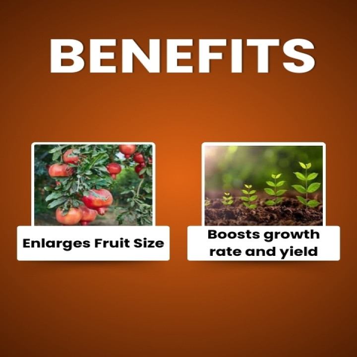 Katyayani Nutritious Plant Growth Regulator – thumb