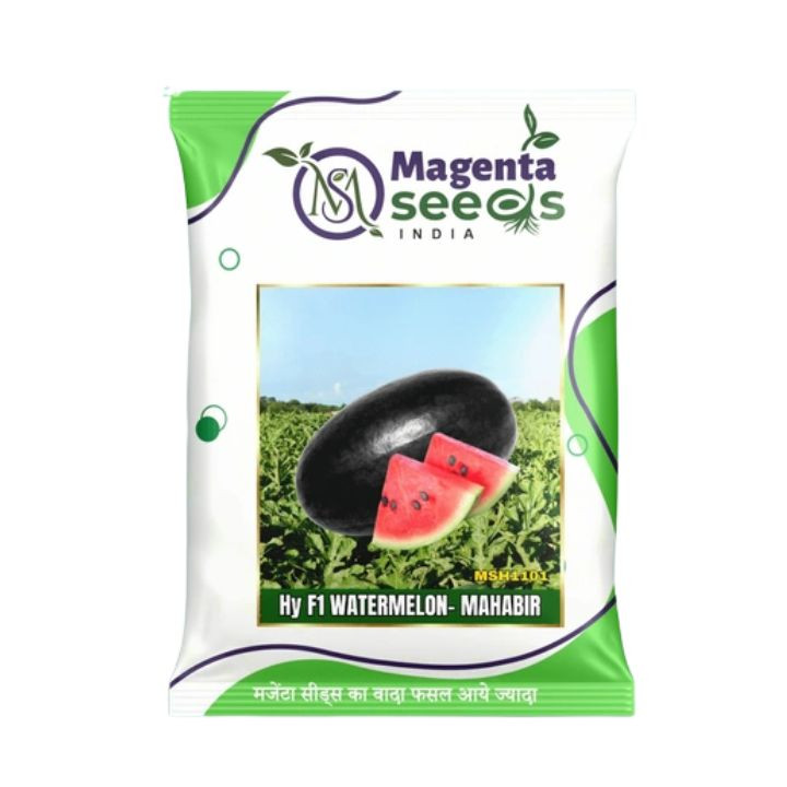 Magenta Mahabir Hybrid Watermelon Seeds