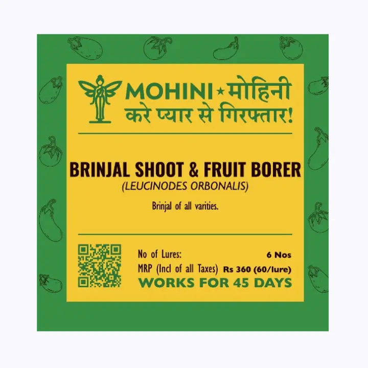 Mohini Brinjal Borer Lure – Targeted Solution