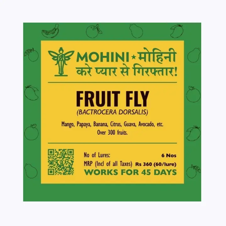 Mohini – Fruit Fly Lures (Bactrocera dorsalis) Pheromone Lure