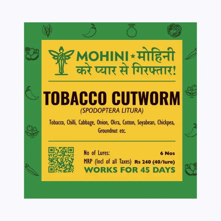 Mohini Tobacco Cutworm Lure – Precision Control for Spodoptera Litura