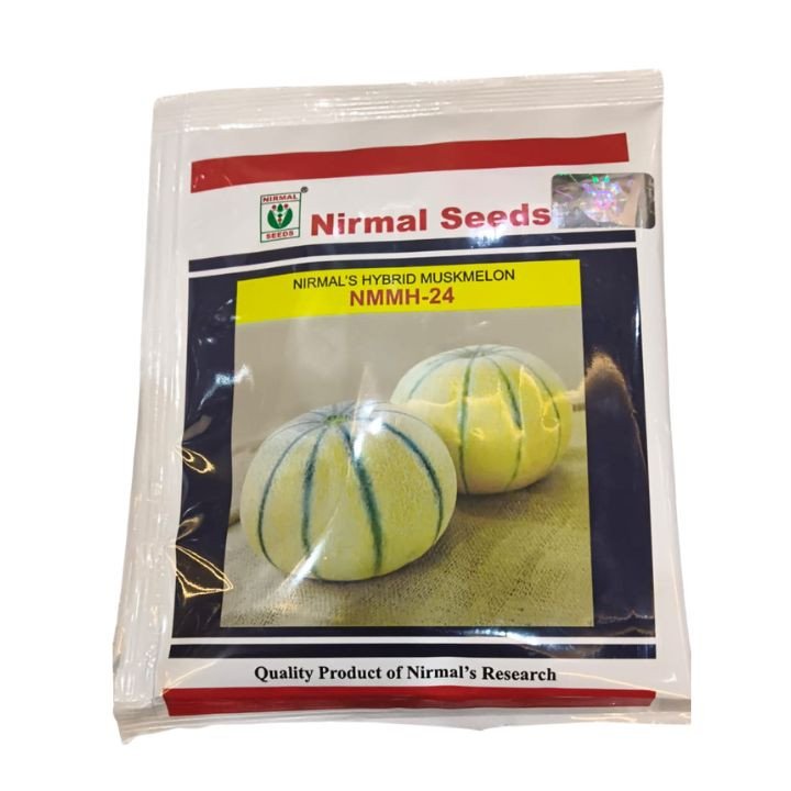 Nirmal 24 Musk Melon (Cucumis melo) Hybrid Vegetable Seeds – main view