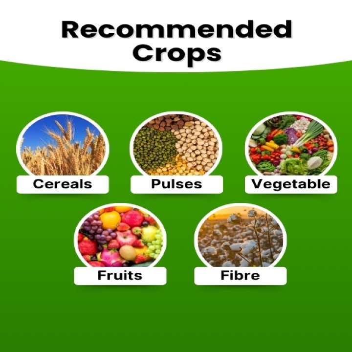 Katyayani NPK 19 19 19 100% Water Soluble Fertilizer – thumb