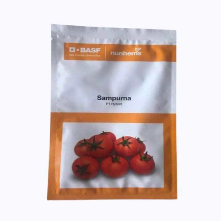 Nunhems Sampurna F1 Hybrid Tomato Seeds