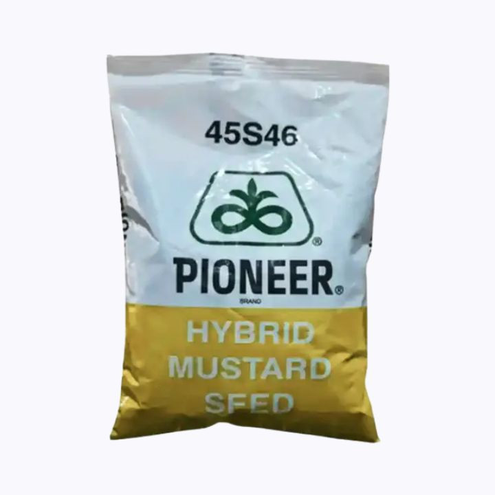 PIONEER 45S46 F1 Hybrid Mustard Seeds – main view