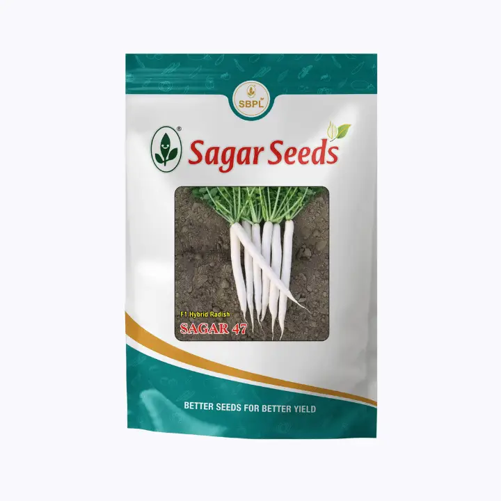Sagar 47 F1 Hybrid Radish Seeds