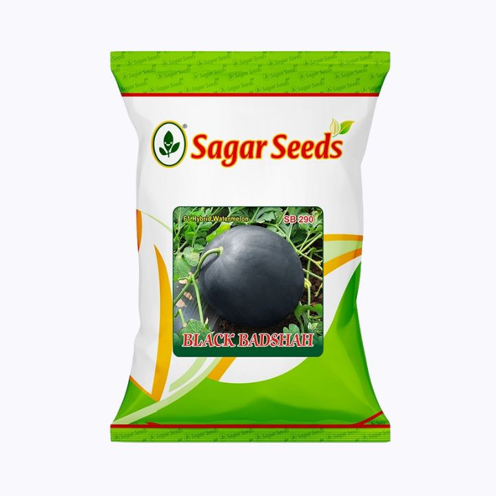 Sagar Black Badshah Watermelon Seeds