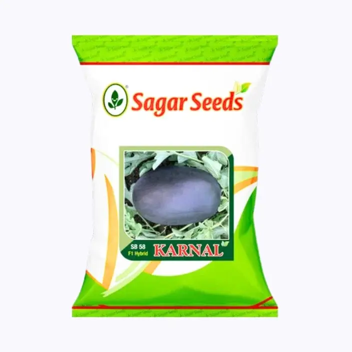 Sagar Karnal F1 Hybrid Watermelon Seeds