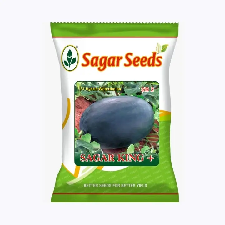 Sagar King Plus F1 Hybrid Watermelon Seeds
