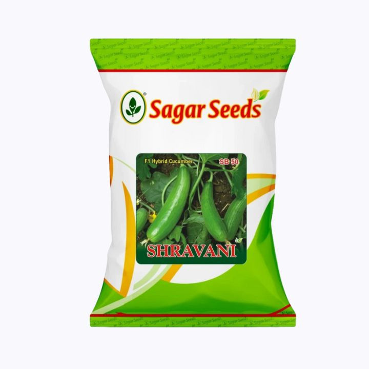Sagar Shravani Cucumber Seeds