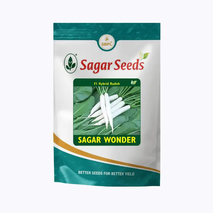 Sagar Wonder F1 Radish Seeds
