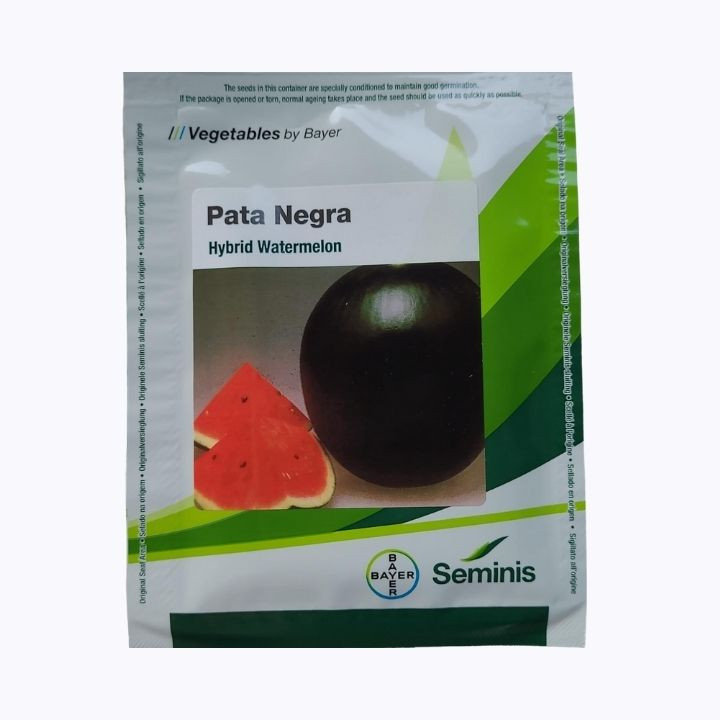 Seminis Pata Negra Hybrid Watermelon Seeds
