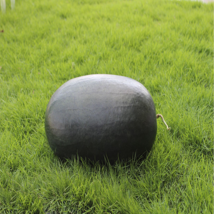 Sagar Singham F1 Watermelon Seeds – thumb