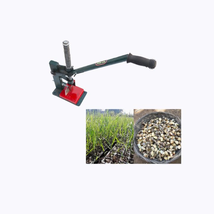 Sugarcane Bud Chipper Tools