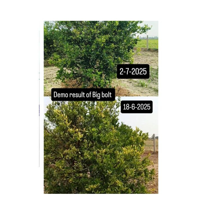 Mitsumi Big Bolt Magnesium Hydroxide + Zinc Phosphate Plant Nutrient – thumb