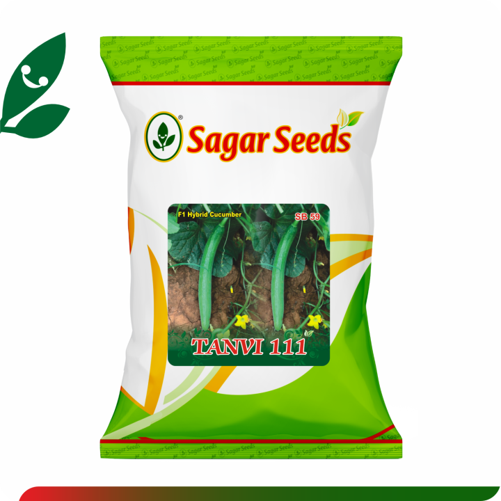 Sagar Tanvi 111 Cucumber Seeds