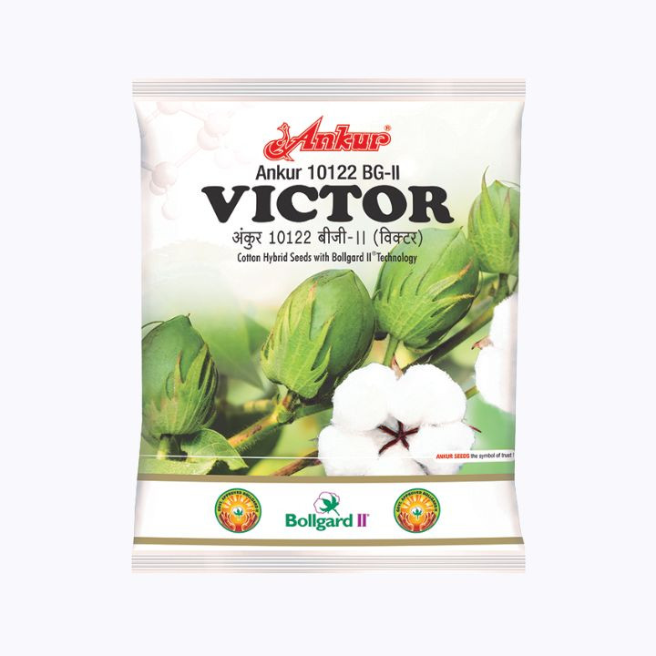 Ankur Victor 10122 BG‑II Hybrid Cotton Seeds